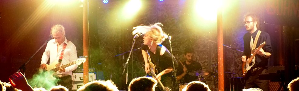 Sammersee 2015 - The Capitols (14)