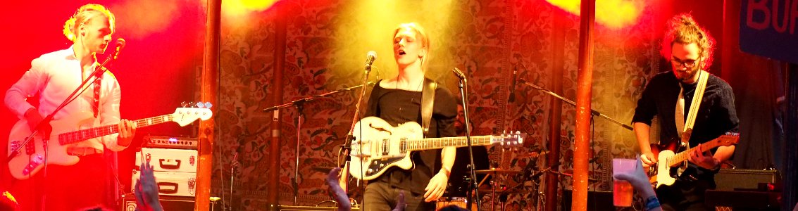 Sammersee 2015 - The Capitols (05)