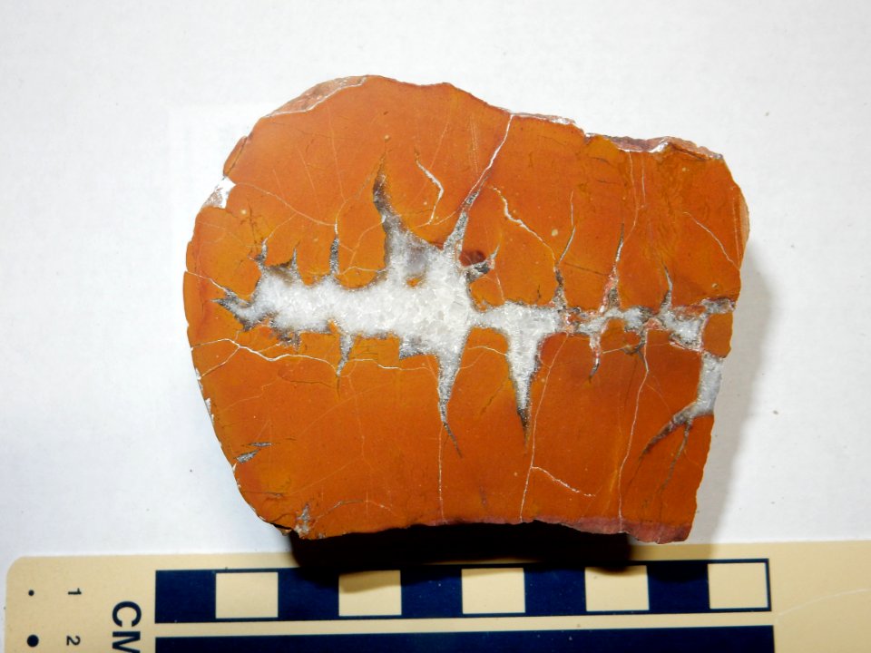 Salitral septarian nodule