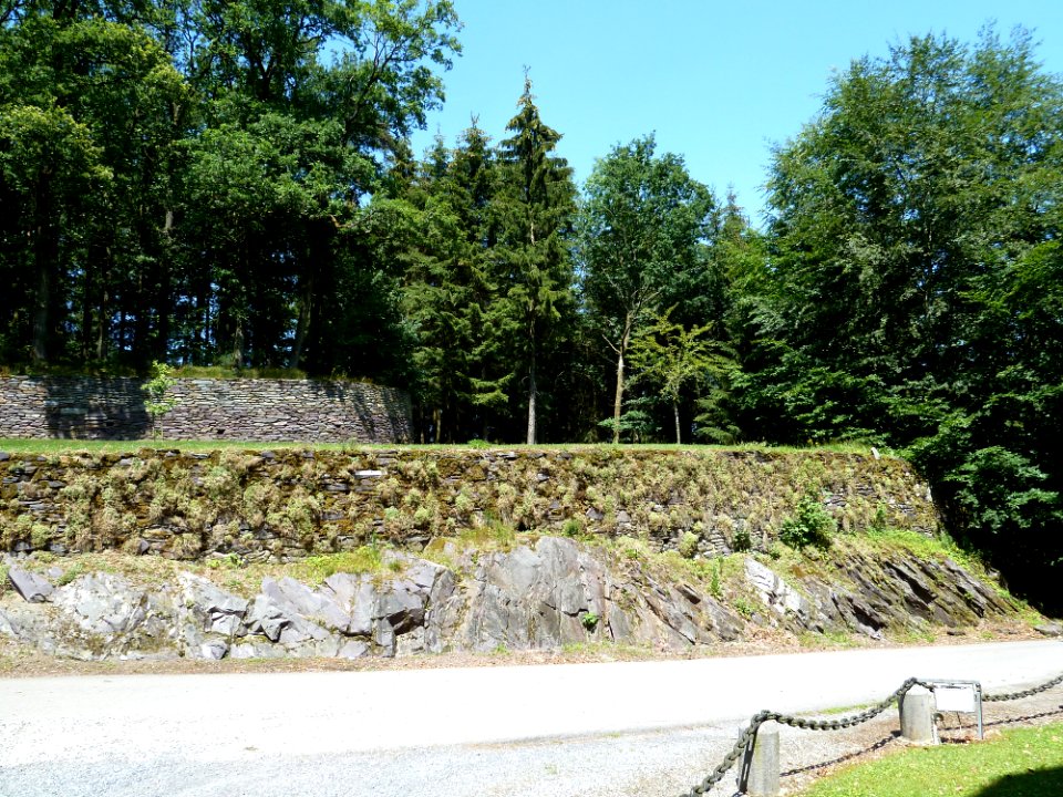 Salmchâteau-Château des Comtes de Salm (2)