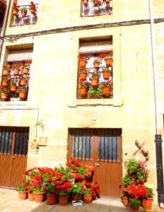Samaniego 16