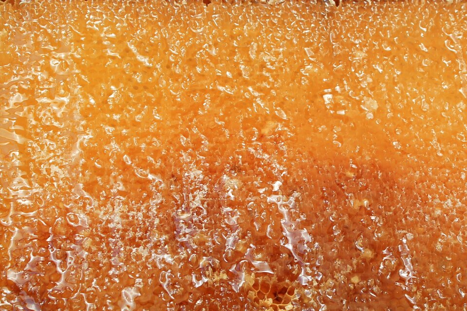 Delicious sweet beehive