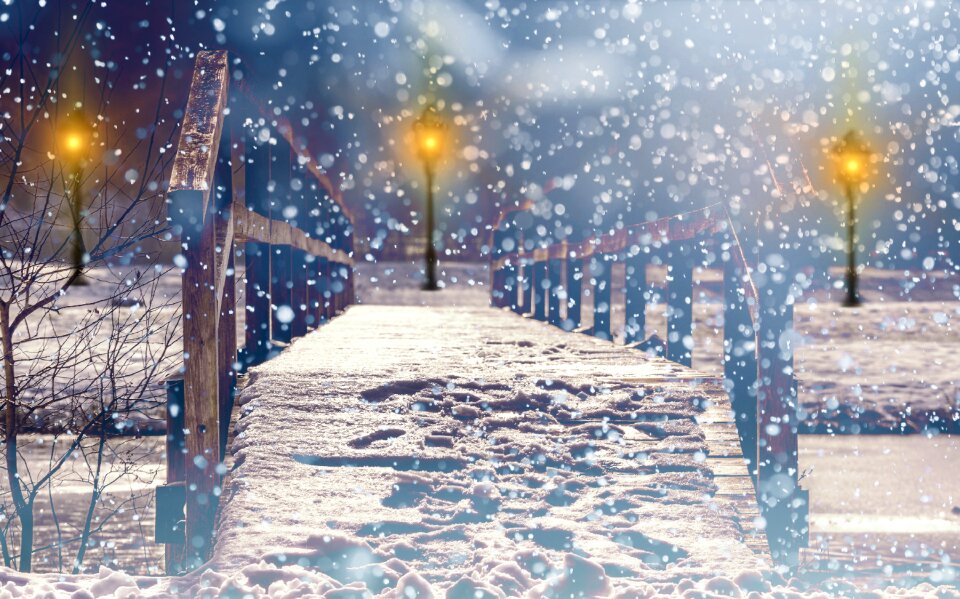 Lights shining christmas