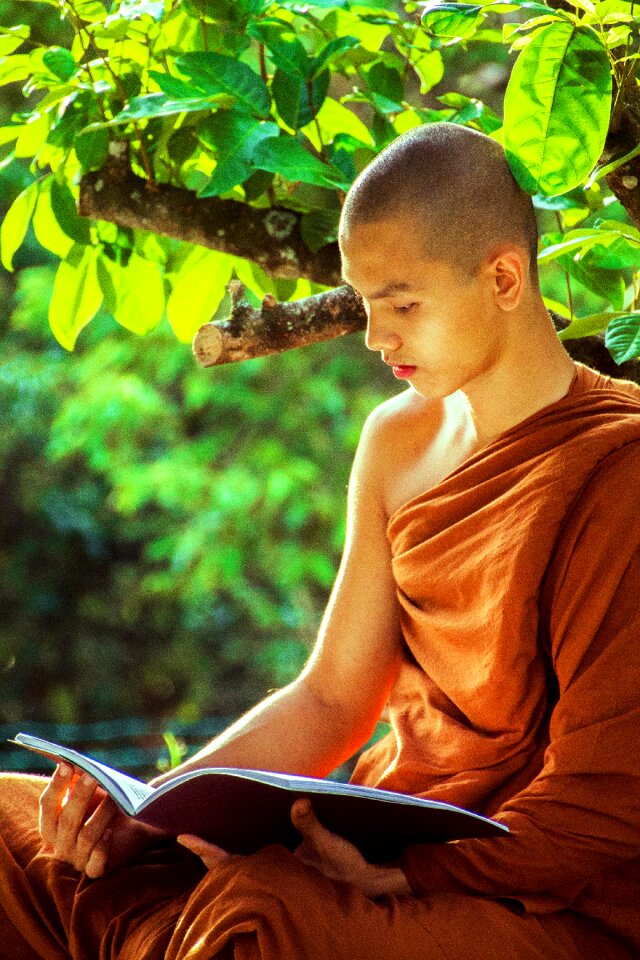 Theravada buddhism monk photo