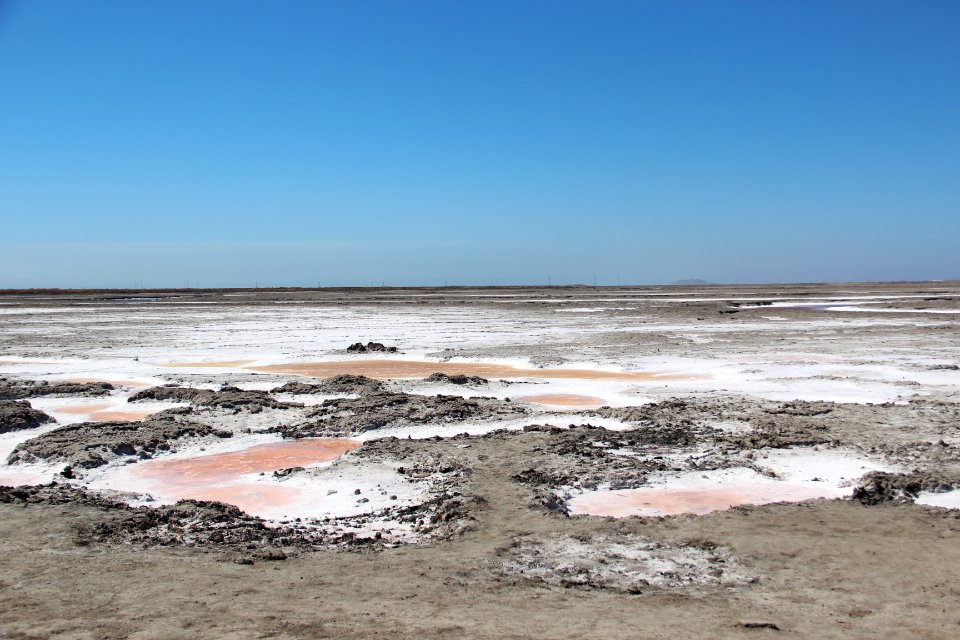 Salt ponds, Alviso Marina County Park CA Aug 2019 2
