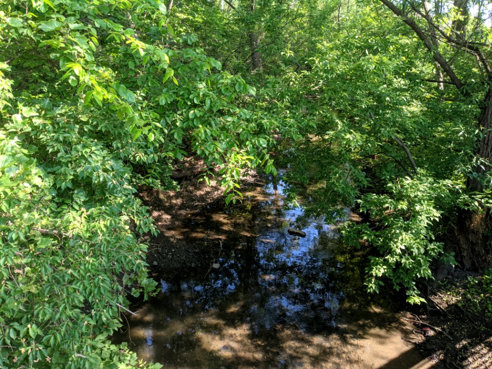 Salt Creek flows near Cottonwood Park
