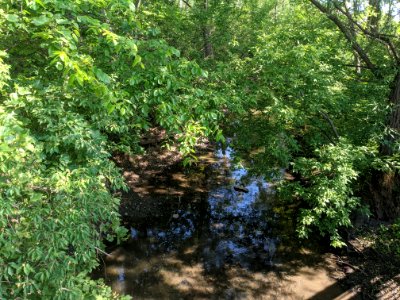 Salt Creek flows near Cottonwood Park