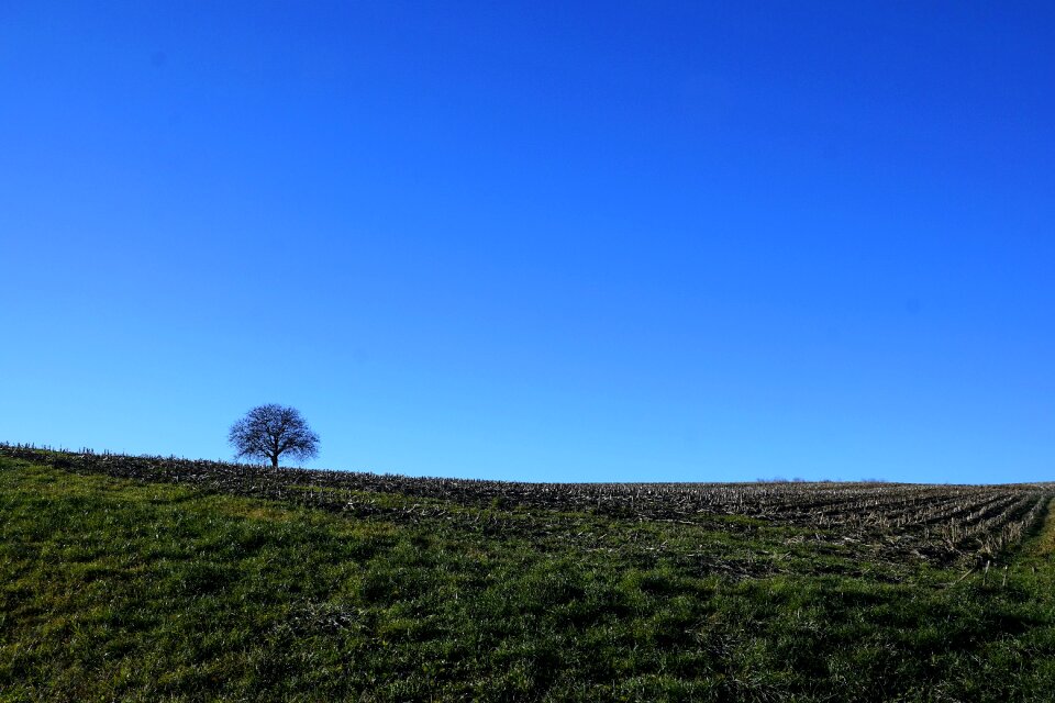 Sky blue stockach