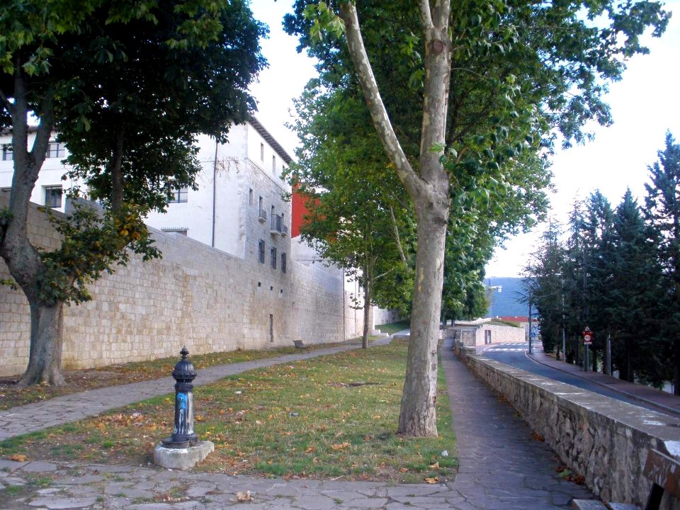 Salvatierra - murallas 2