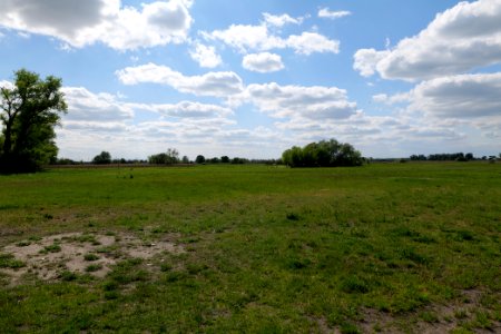 Salzstelle Nauen 2020-05-15 01