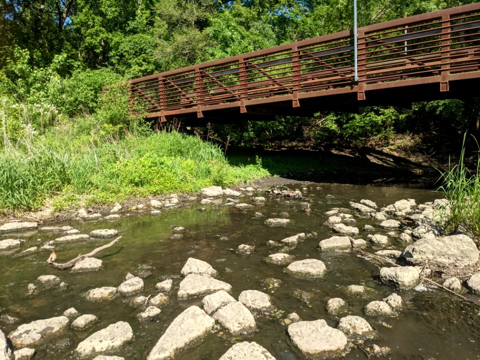 Salt Creek flowing under a bridge near Cottonwood Park