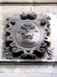 Salvatierra 25