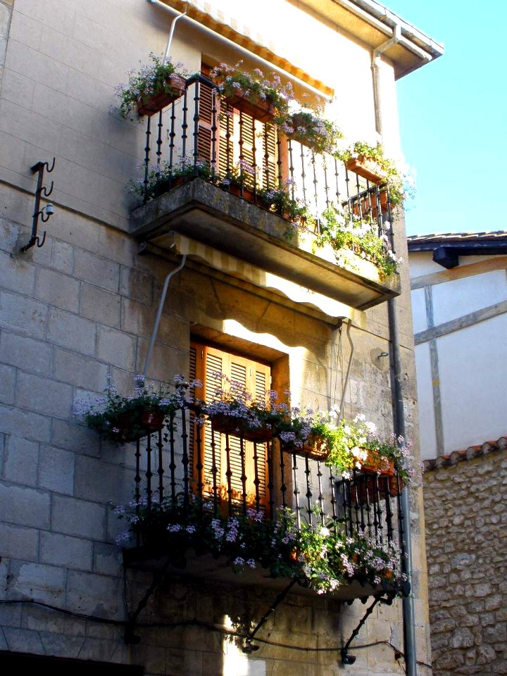 Salvatierra 09