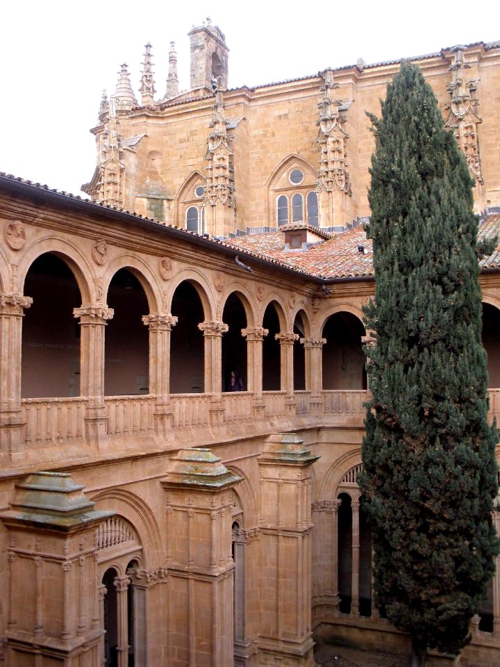 Salamanca - Convento de San Esteban, claustro 23