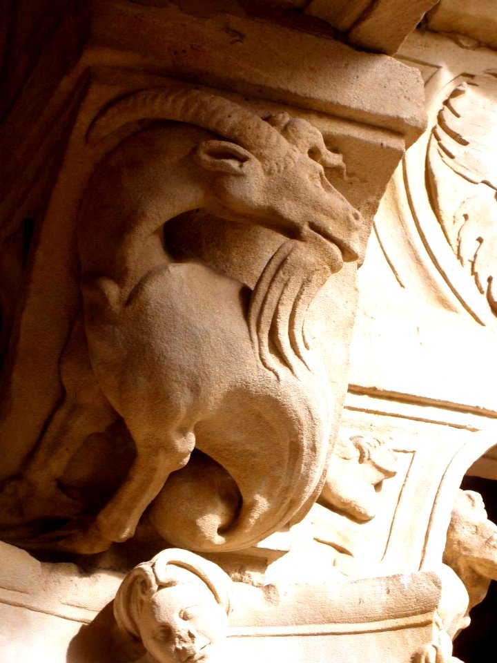 Salamanca - Convento de las Dueñas, capiteles del claustro renacentista 30