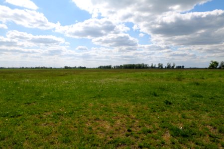 Salzstelle Nauen 2020-05-15 13
