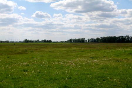 Salzstelle Nauen 2020-05-15 19