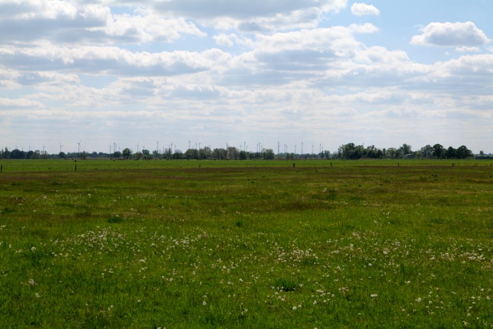 Salzstelle Nauen 2020-05-15 11