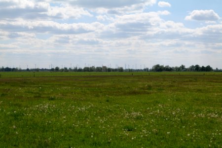 Salzstelle Nauen 2020-05-15 11