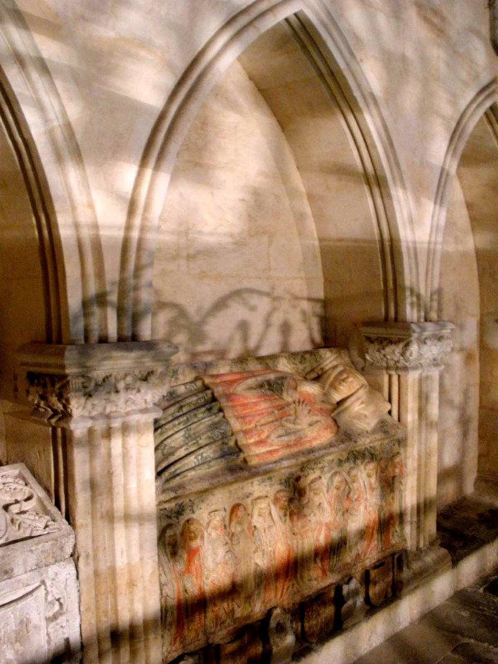 Salamanca - Catedral Vieja, Claustro, Capilla de Anaya 03