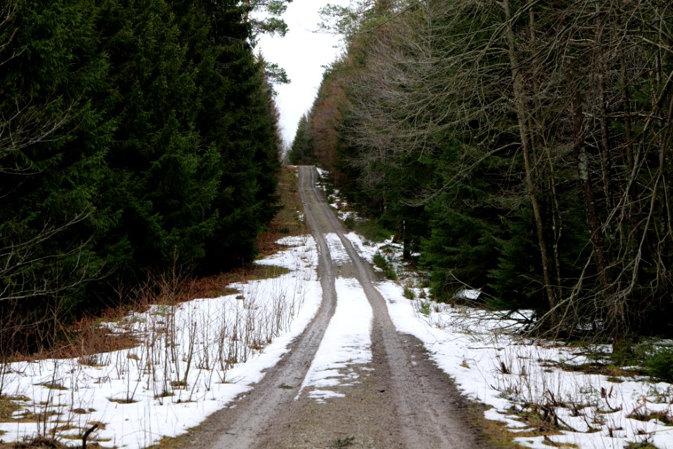 Salzleckenweg 2020-03-11 01