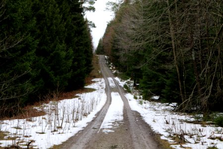 Salzleckenweg 2020-03-11 01