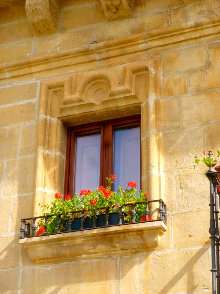 Samaniego - Hotel Palacio de Samaniego 5