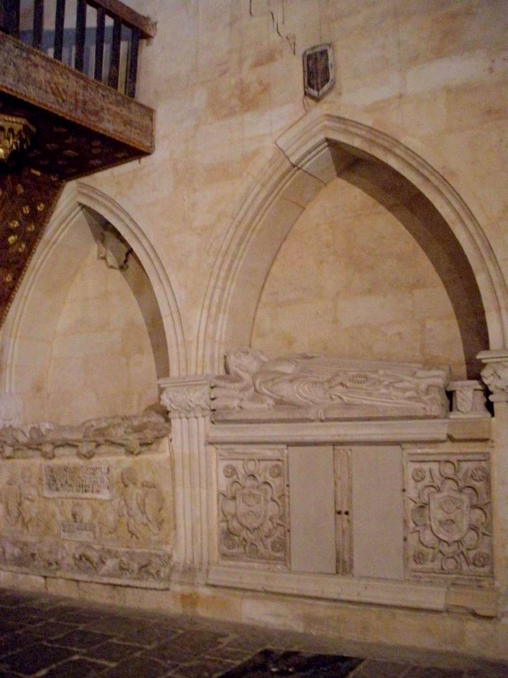 Salamanca - Catedral Vieja, Claustro, Capilla de Anaya 06