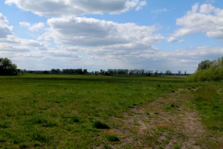 Salzstelle Nauen 2020-05-15 05