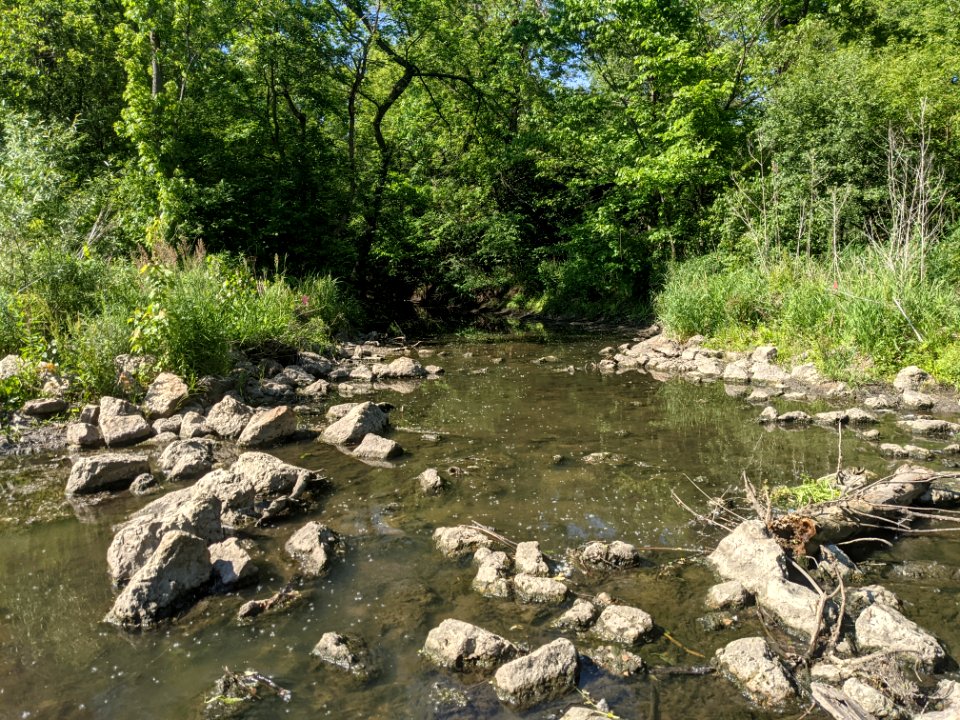 Salt Creek flows through rocks near Cottonwood Park