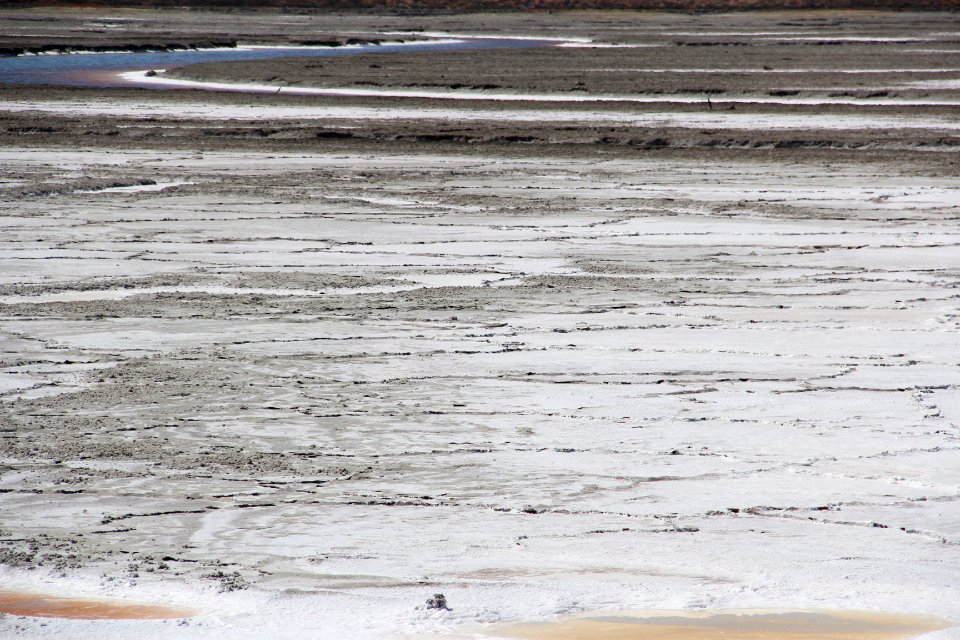 Salt ponds, Alviso Marina County Park CA Aug 2019 4