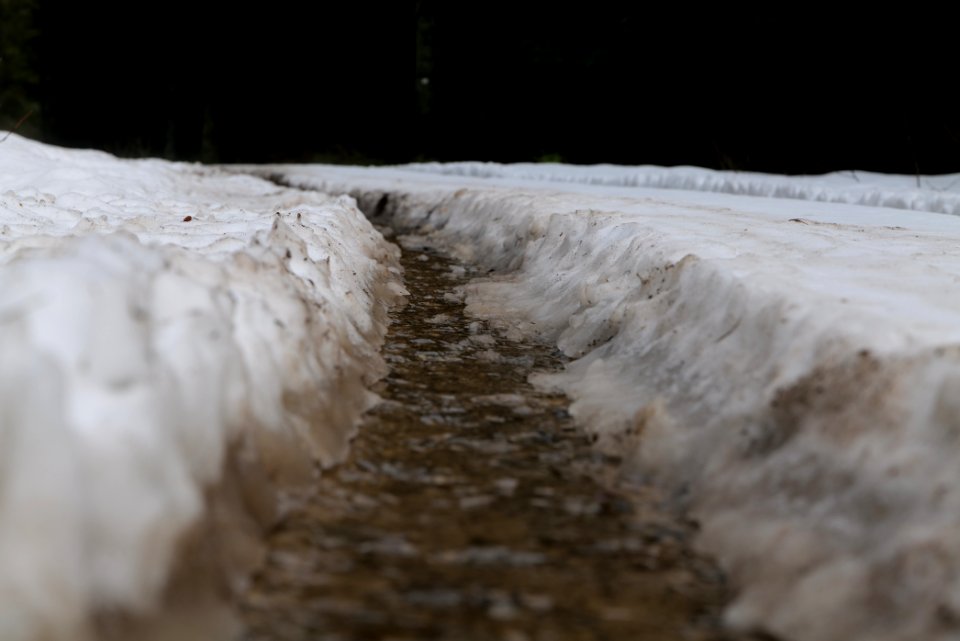 Salzleckenweg 2020-03-11 11