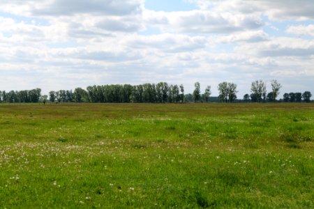 Salzstelle Nauen 2020-05-15 16
