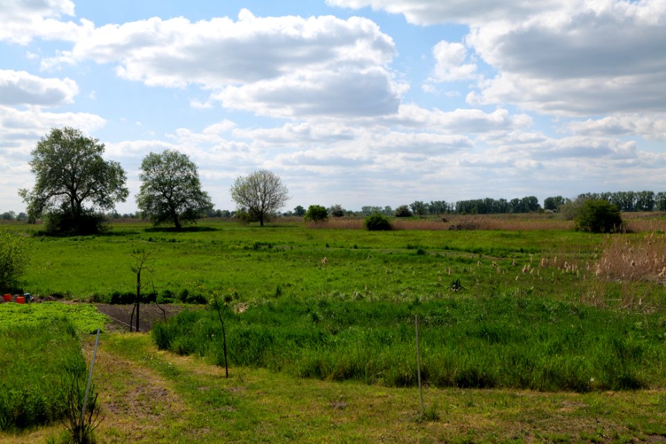 Salzstelle Nauen 2020-05-15 10