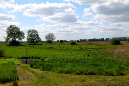 Salzstelle Nauen 2020-05-15 10