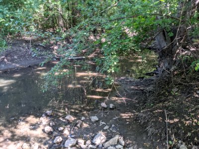 Salt Creek flows near Euclid Avenue in Palatine, Illinois - 2