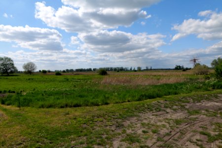 Salzstelle Nauen 2020-05-15 08