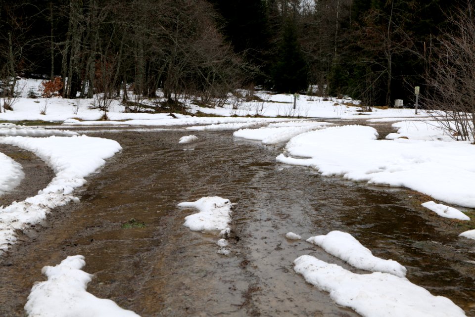 Salzleckenweg 2020-03-11 14