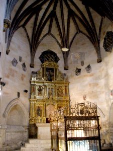 Salamanca - Catedral Vieja, Claustro, Capilla de Anaya 08