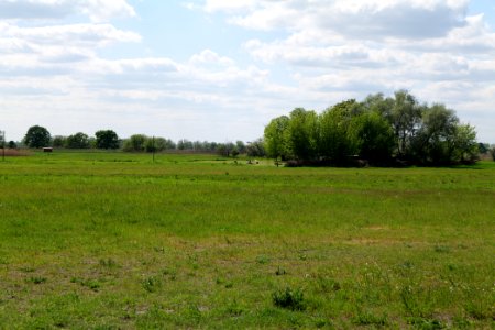 Salzstelle Nauen 2020-05-15 02