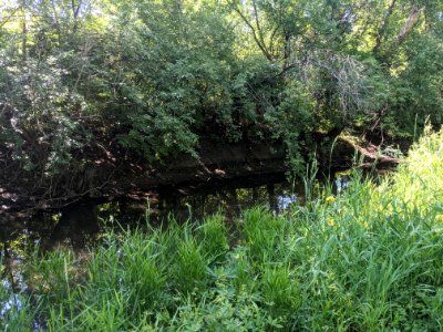 Salt Creek flows in Rolling Meadows, Illinois - 1