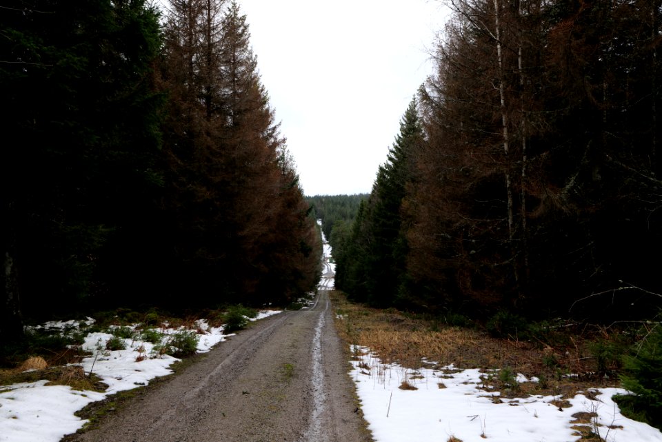 Salzleckenweg 2020-03-11 07