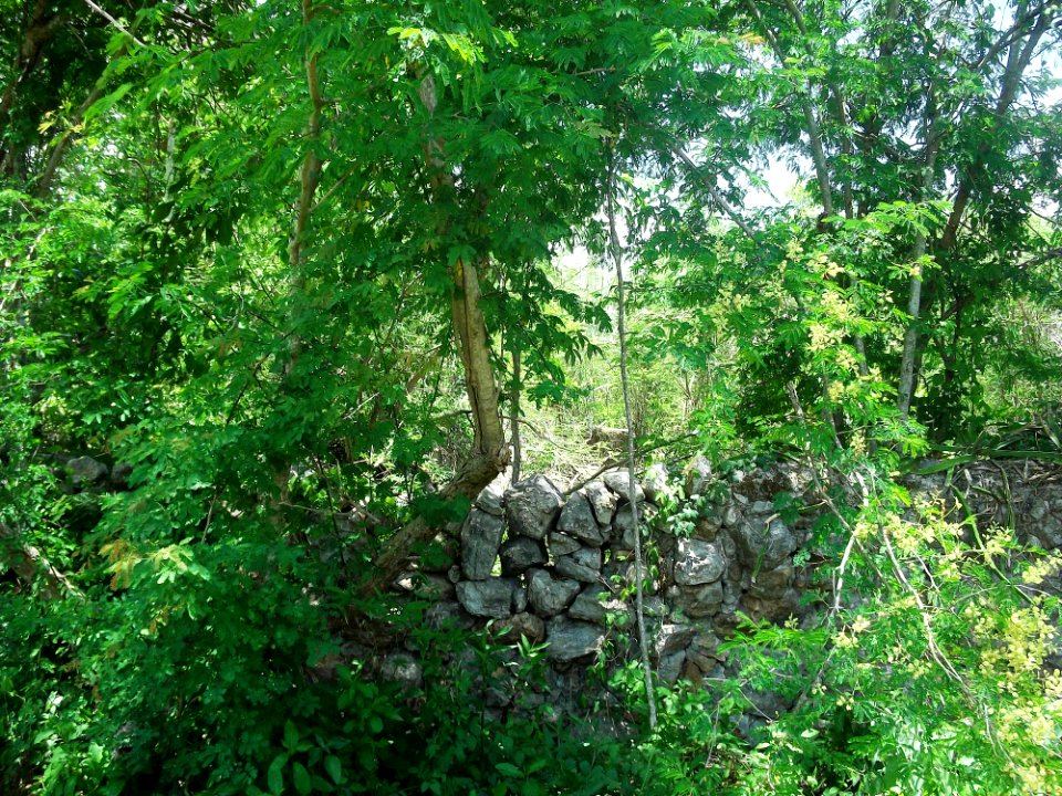 San José (Tixpéhual), Yucatán (03)