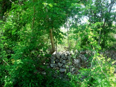 San José (Tixpéhual), Yucatán (03)