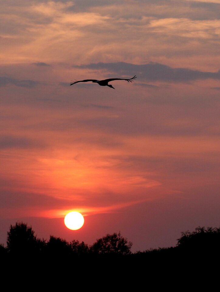 Sky cloud red