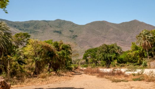 San Juan Bautísta 44