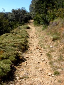 San Juan de la Peña - Sendero de montaña a Santa Cruz de la Serós 45