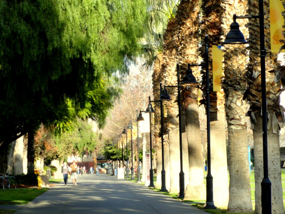 San José State University - DSC03954
