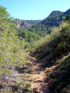 San Juan de la Peña - Sendero de montaña a Santa Cruz de la Serós 39