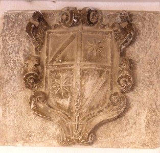 Salvatierra 29